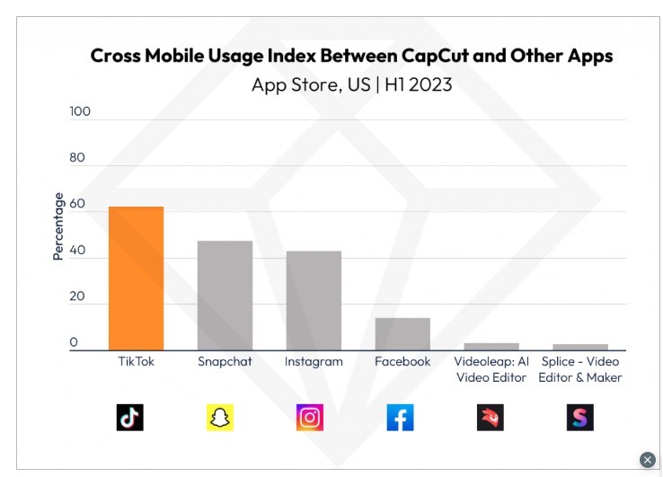 What are the demographics of the app capcut?